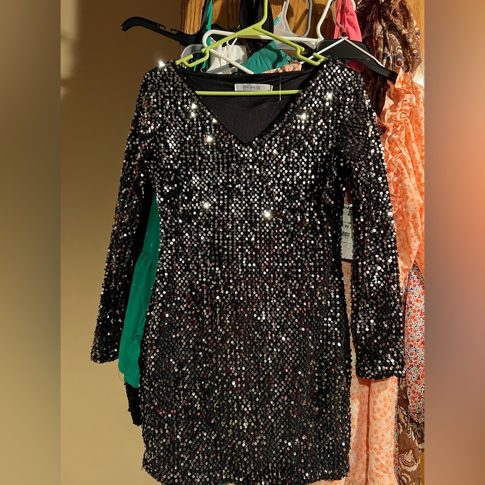 Sparkly Dress
